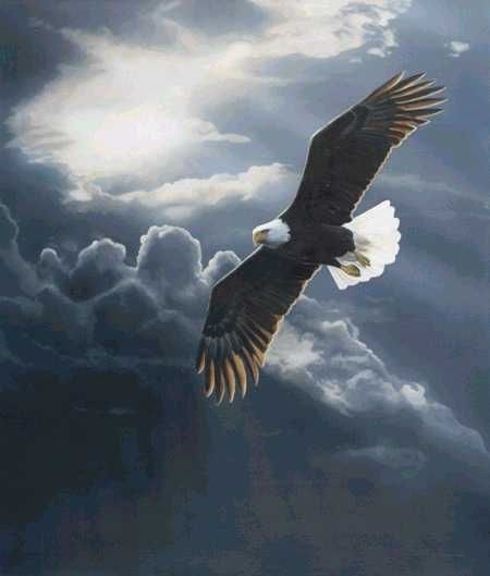 Obituario de Frankie Jean Ruff