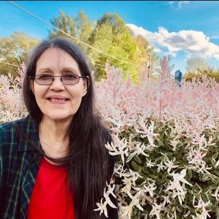 Obituary of Wanda Shannon Phillips