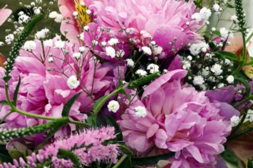 Obituary of Belinda Hope Sims