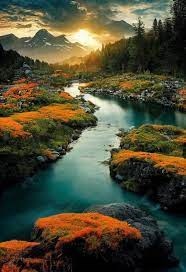 Obituary of Charles Harold Moore