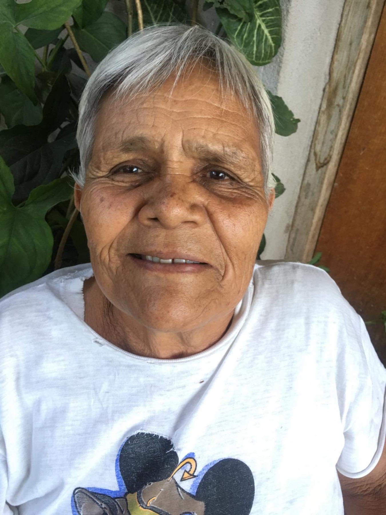 Elva Villalobos Gamboa Obituary Naranja, FL