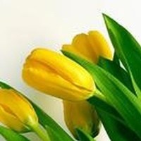 Obituary of Beulah Patricia Manso
