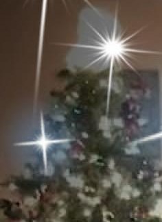 John Brophy Obituary - West Harwich, MA