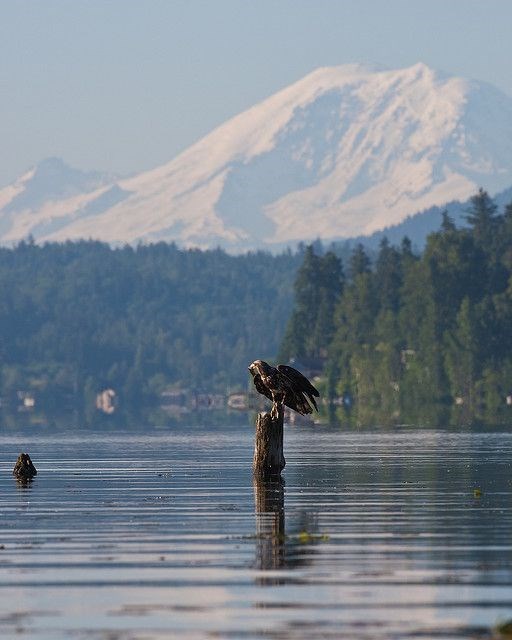 Obituary of Fred Donald Corwin