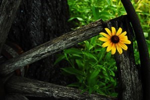 Obituario de James Melvin Powell