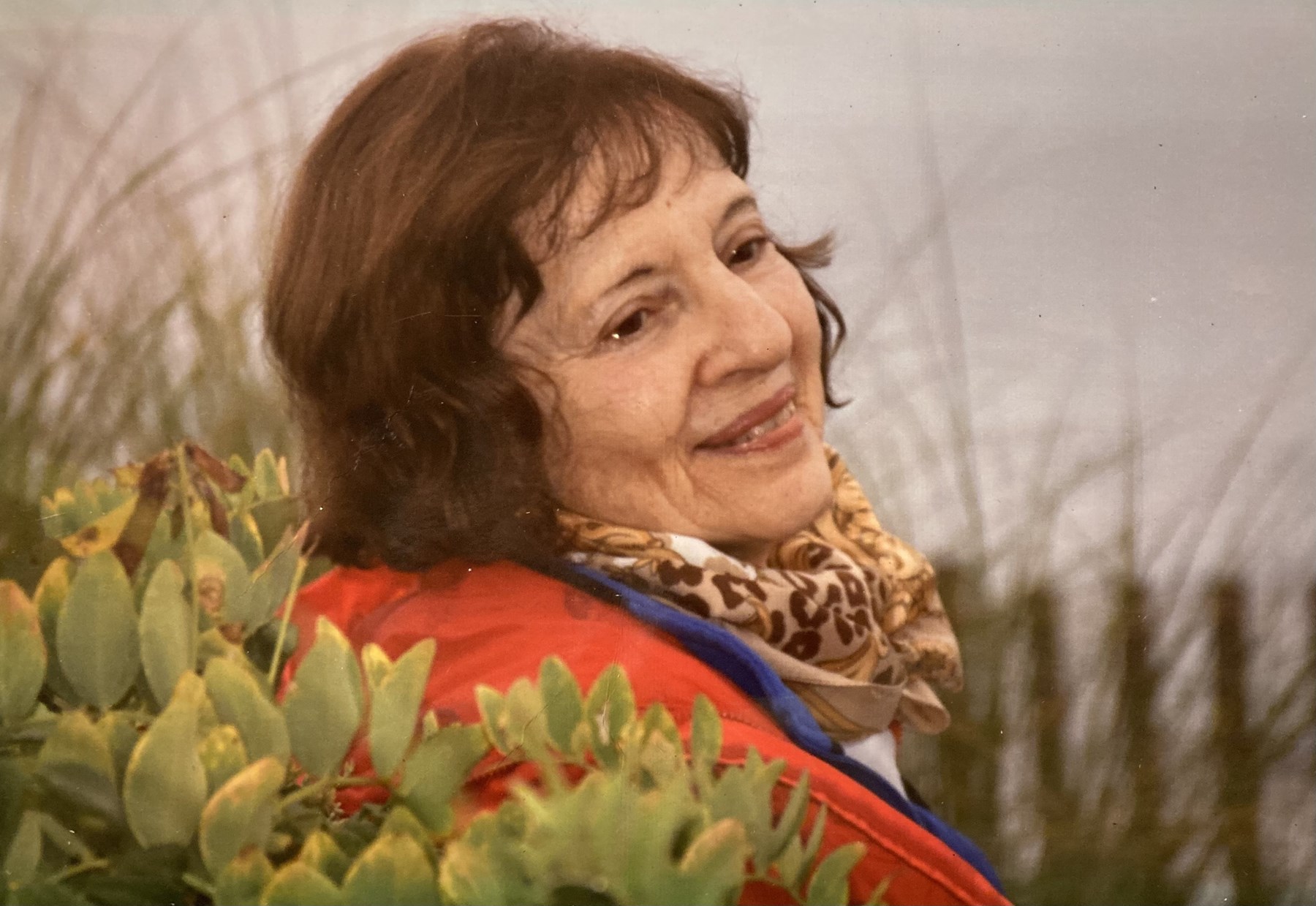 Obituary of Ellen Fine