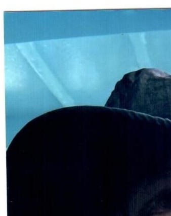 Anthony Lagreca avis de décès Tampa, FL