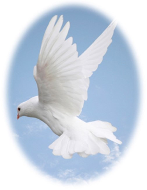 Obituary of Giuseppina Canali