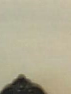 Donald Plack Obituary - Pekin, IL