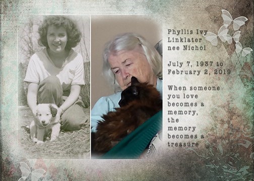 Obituary of Phyllis Ivy Linklater