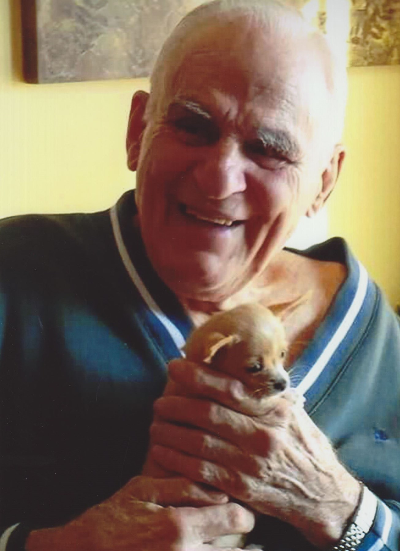 Obituary of George J Sipich