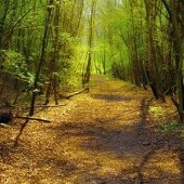 Obituary of Harry R. McEldowney