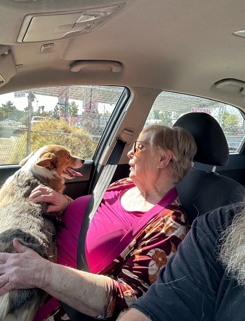 Obituario de Ruth Adelle Meadows