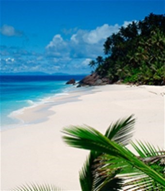 Obituary of Efren Gazmen