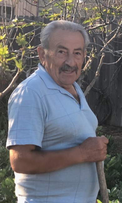 Obituary of José Inacio Gomes