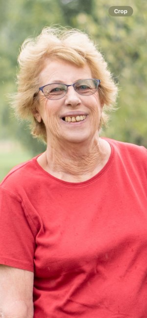 Obituary of Karen M. Babcock