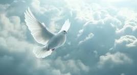 Obituario de Mr. Carreon Jawan Hearns