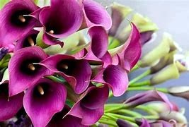 Obituary of Amelita Ong Estrada