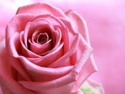 Obituary of Ruth Celebre