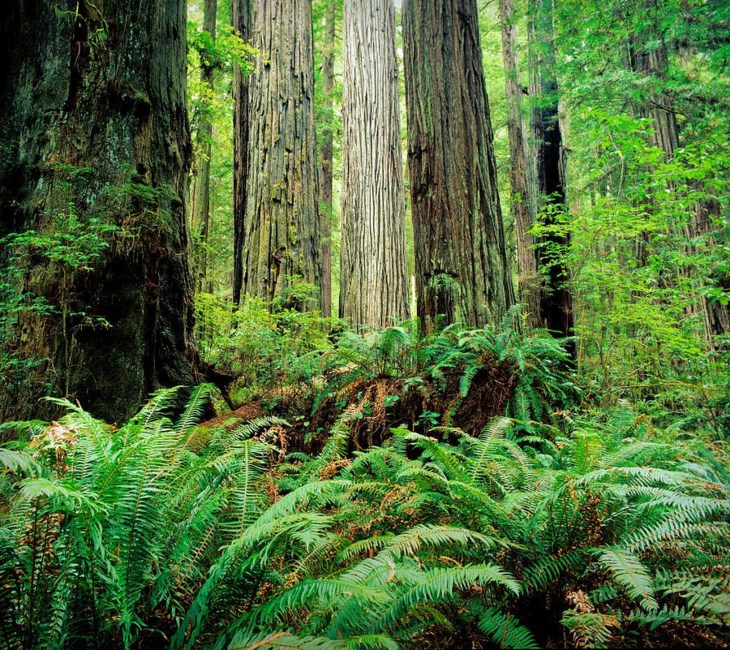 Obituary of Christina Dolores Wood