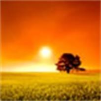 Obituary of Donald James Wells