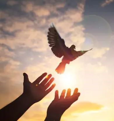 Obituary of Grace Marie Gullett