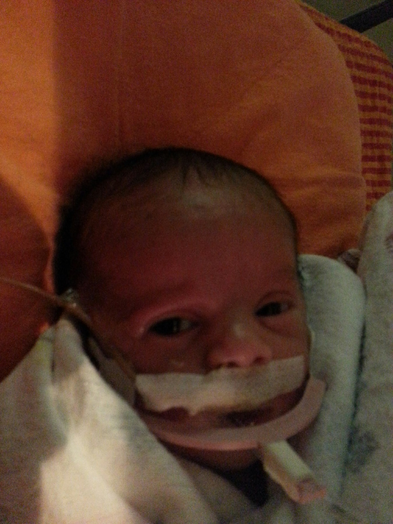 Obituary of Marco Antonio Albornoz