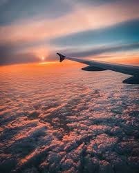 Obituary of Shirley Joe Bynum