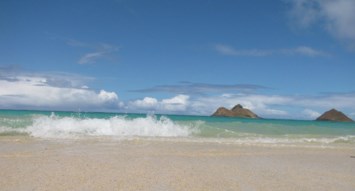 Obituary of Richard Joseph Vierra