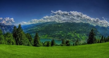 Obituary of Jose Guadalupe Ruvalcaba