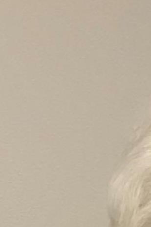 Julia Callahan Obituary Metairie, LA