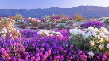 Obituary of Lawrence Alfred Larson