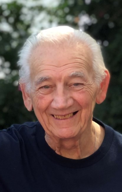 Obituary of Louis J. Capponi