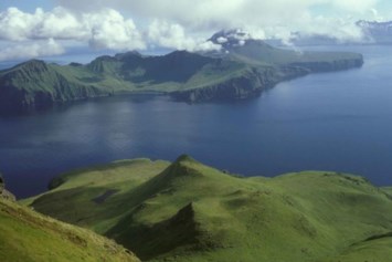 Obituary of Anthony Carbone