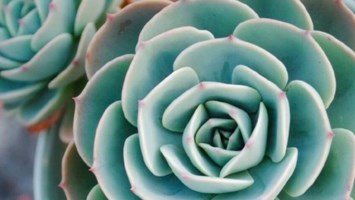 Obituary of James William Robertson