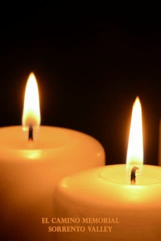 Obituary of Elizabeth Kathryn Hanson Zongker