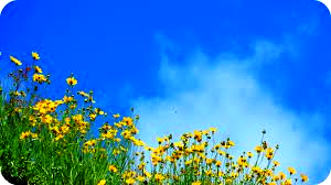 Obituary of Doris Berg