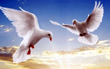 Obituary of Patricia R. Vail