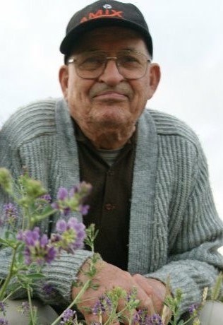 Obituary of Americo AIMOLA
