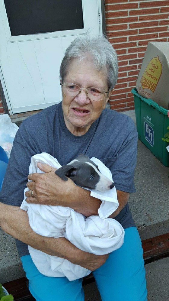 Norma Mcgrew Obituary West Des Moines Ia