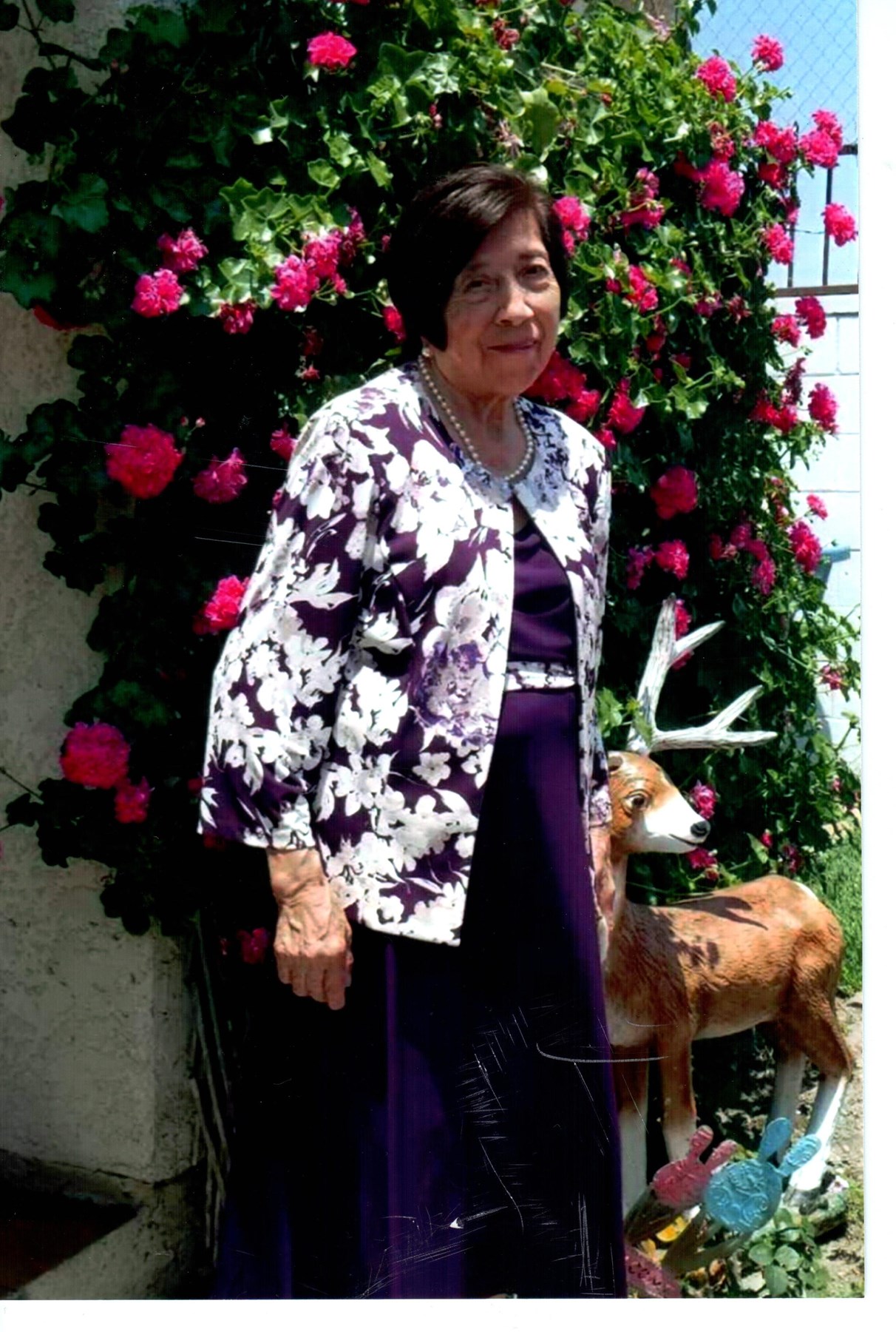 Obituario de Teonila Fajardo