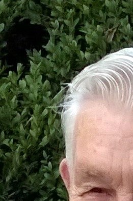 Robert Royse McLaughlin Obituary Richmond, VA