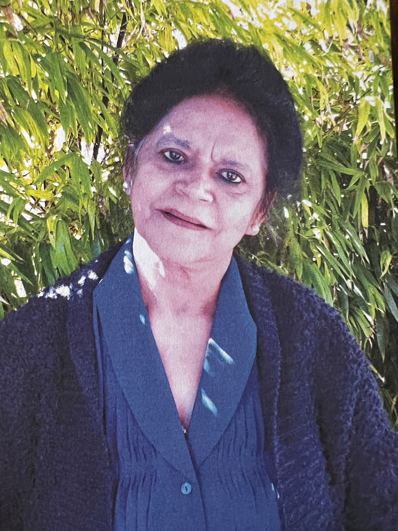 Remembering Miranda Pino: Whittier, Ca Obituary - e9141xc