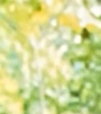 Larry Wayne Tyree Obituary Lynchburg, VA