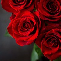 Obituary of Florine George