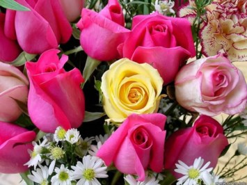 Obituary of Nadine Ellen Adams
