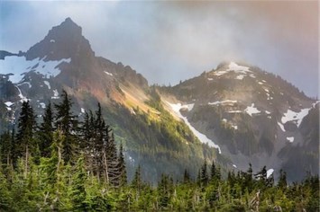 Obituary of Doris Frank