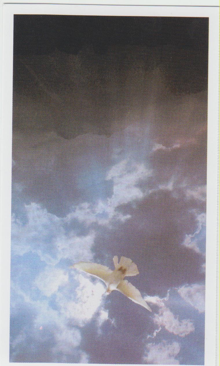 Obituary of Alma Leman