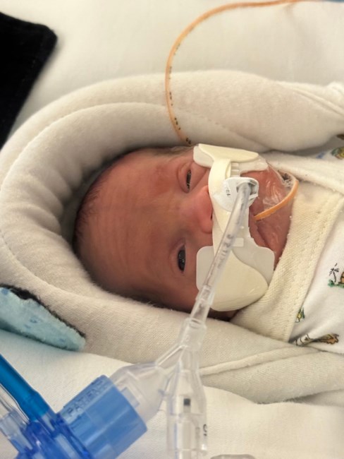 Obituary of Warren Silas Holmes