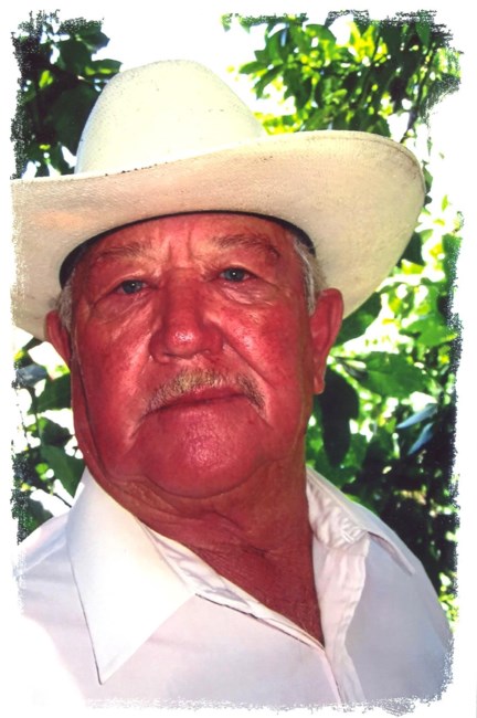 Obituary of Angel Bermudez